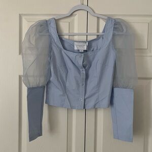 The Shirt by Rochelle Behrens Sheer Sleeve baby Blue button down Top size small